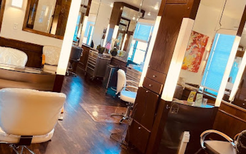 The Salon By Lora Brown