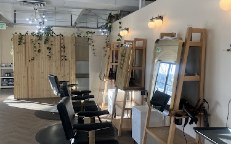 Salon Freebird