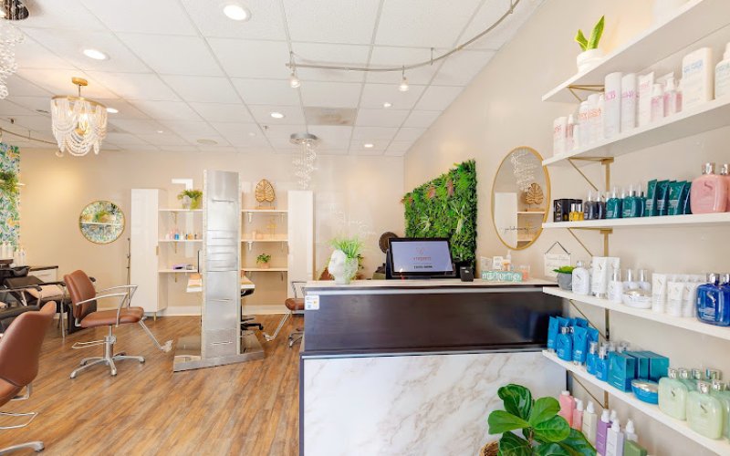 The Hair Spa
