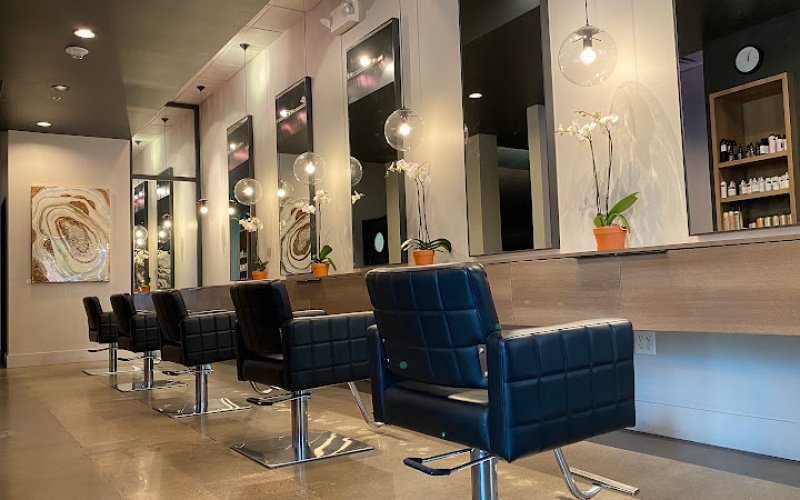 Whistle & Sway Salon | Voted Best Salon in Fort Worth Magazine — Hair salon in Fort Worth