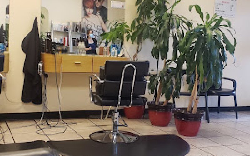 Crossgate hair salon