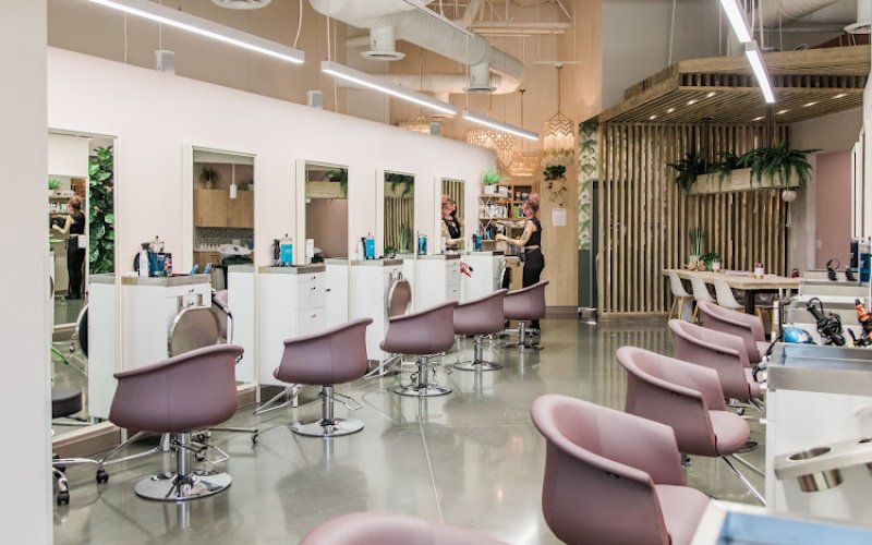 Salon Drew