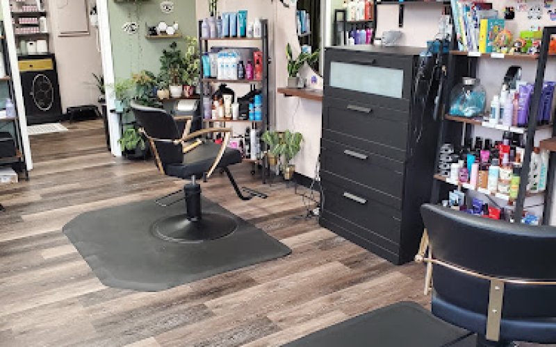 The Hive Hair Studio — Hair salon in Lansing