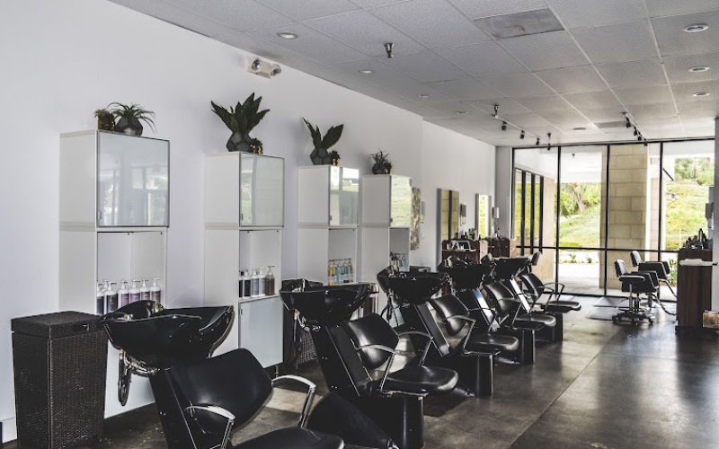 Gold & Braid Hair Salon