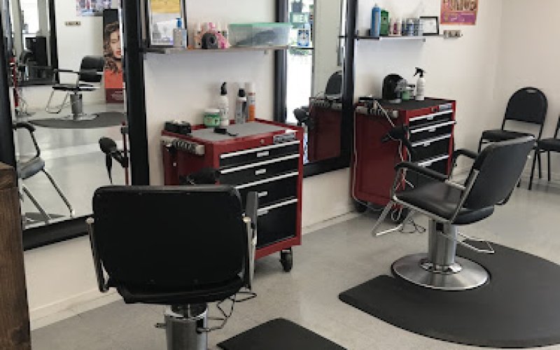 Modesto Cuts