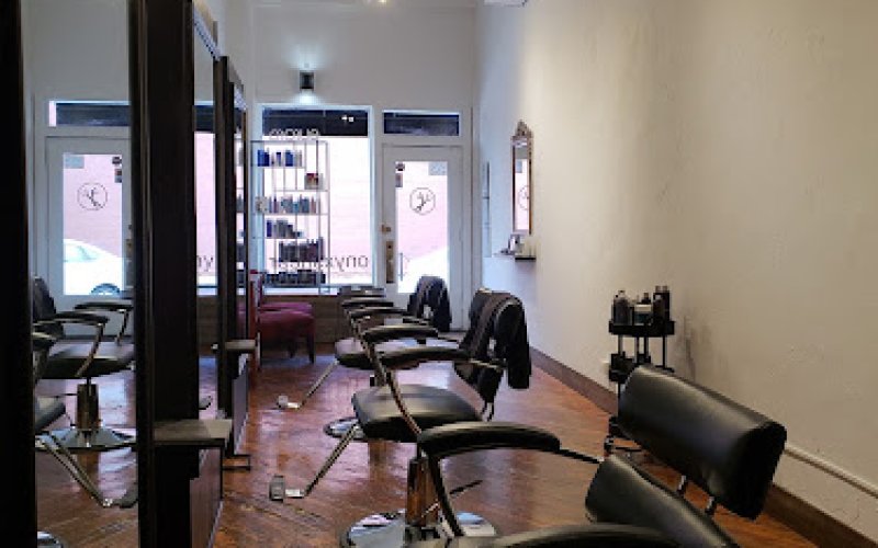Onyx Shear Hair Art