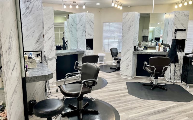 The Platinum Salon
