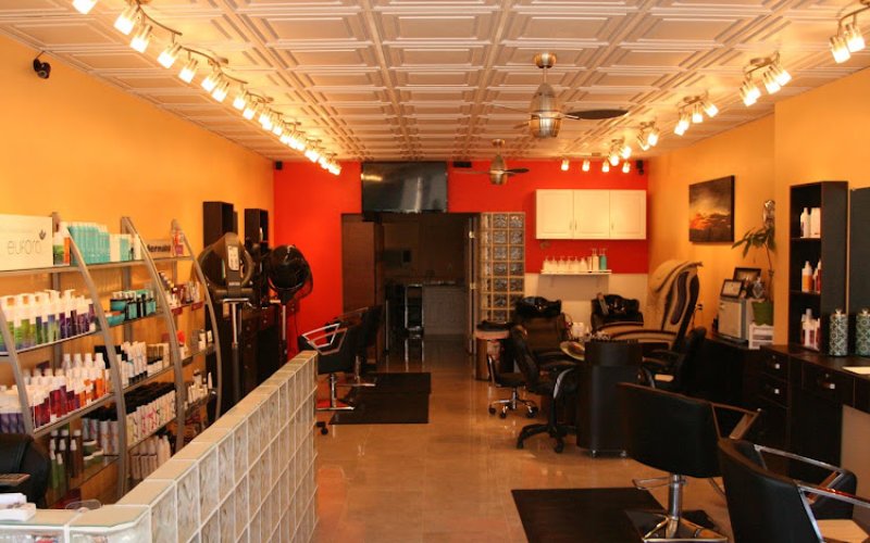 The Hair Parlour