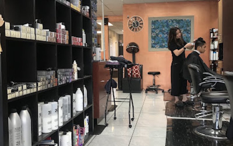 Avalon Salon