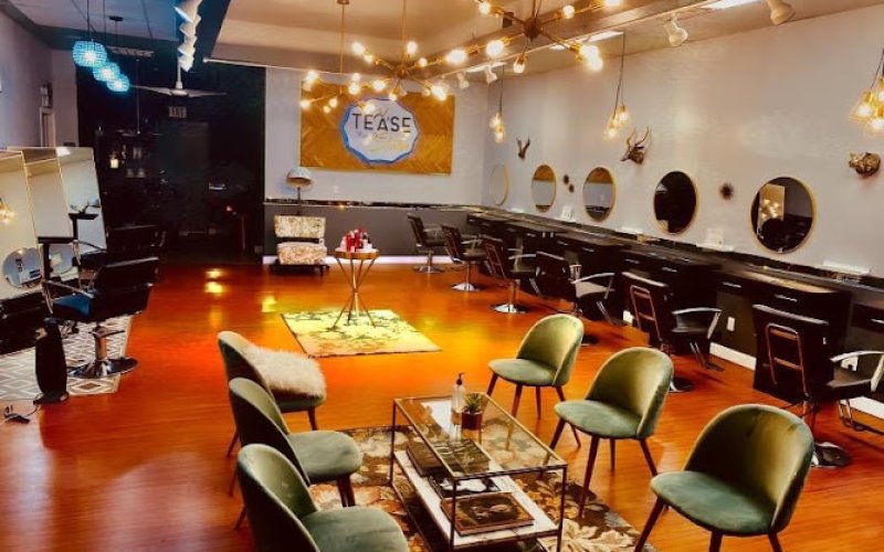Tease Hair Design Studio