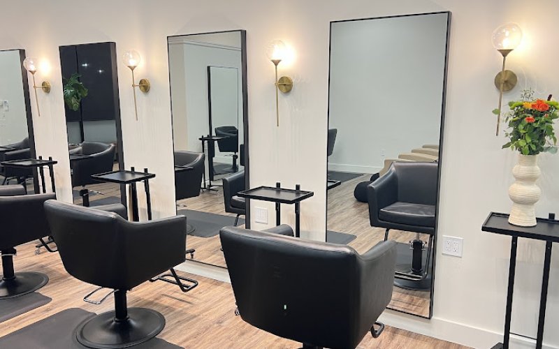 The Standard Salon — Hair salon in Roseville