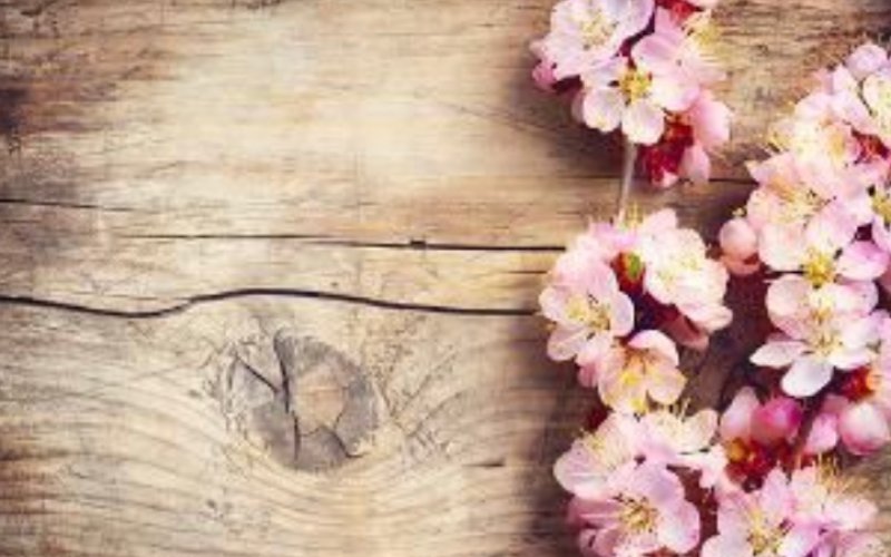 Beauty Touch Salon-Spa-BarberShop — Beauty salon in Salinas