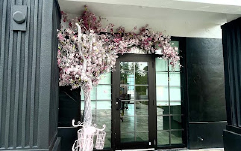 Olivia Poppy Salon