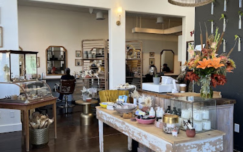 Once Wild Salon Craft Stylists & Curated Goods