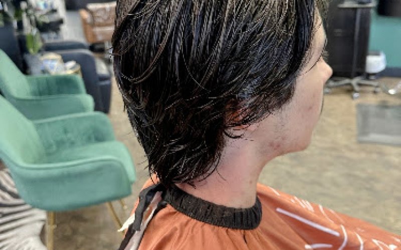 Wild Roots Salon, LLC