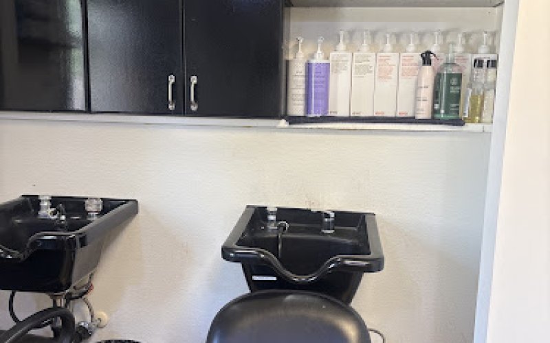 Salon Mousse